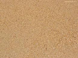pearl of wisdom in a pile of dirt pearl of wisdom in a pile of dirt